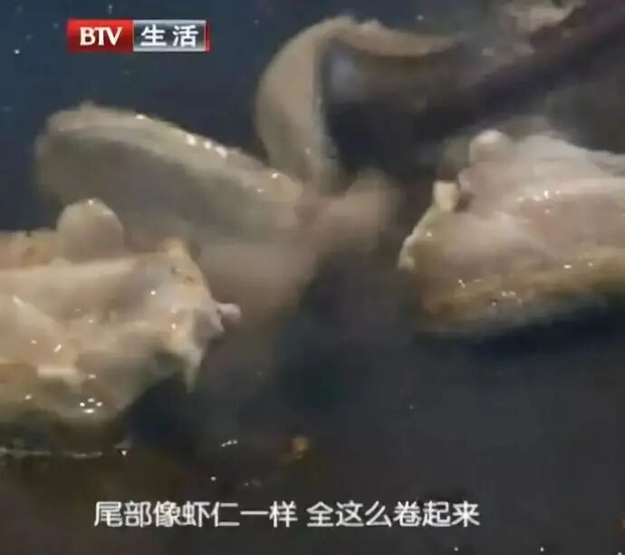 3.15未曝光的恶心黑幕：这5种肉甲醛重金属超多