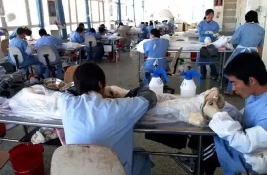 死尸工厂_尸骨工厂电影_尸体工厂