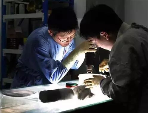 尸骨工厂电影_死尸工厂_尸体工厂
