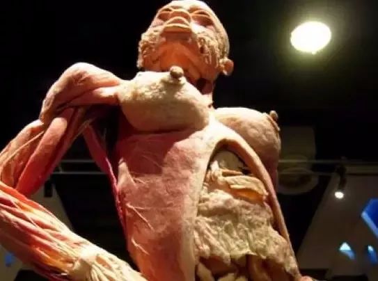 死尸工厂_尸体工厂_尸骨工厂电影