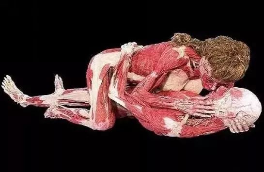 死尸工厂_尸体工厂_尸骨工厂电影