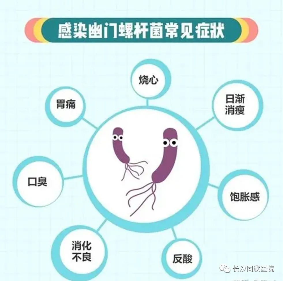 幽门螺旋杆菌检测
