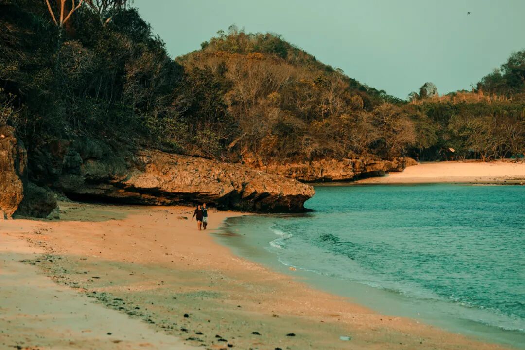 ��������3���£����ɷ��ʬ�����䣺��Σ�յİ�����ʲô���ӣ�