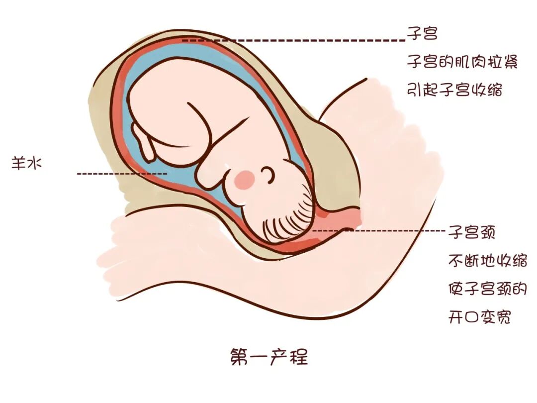 医学界-助力医生临床决策和职业成长