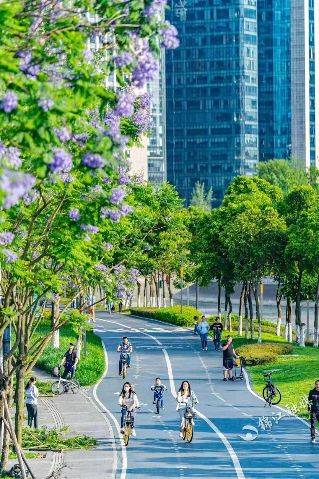 成都锦江区:大美公园城市画卷正徐徐展开