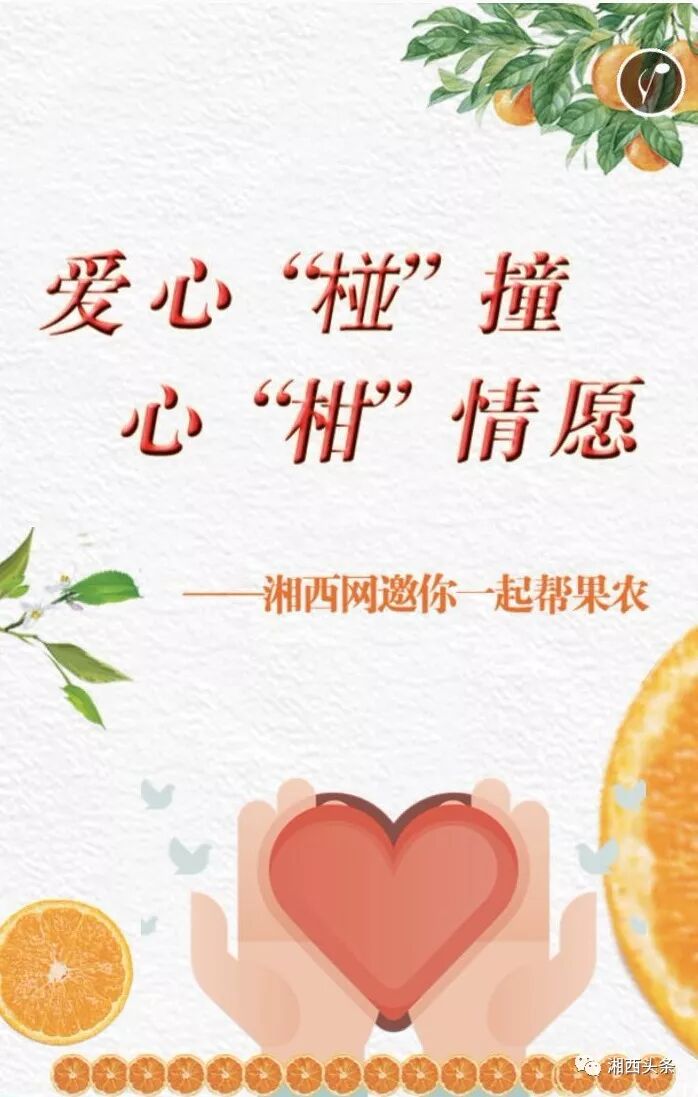湘西头条 自由微信 Freewechat