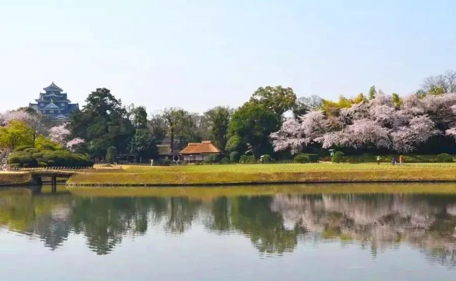 2019第一波櫻花前線來啦！今年最美的櫻花去哪看？ 旅遊 第52張