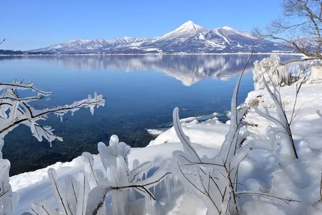 日本冬天最浪漫的絕色雪鄉，一下雪畫風就美翻了！ 旅遊 第19張