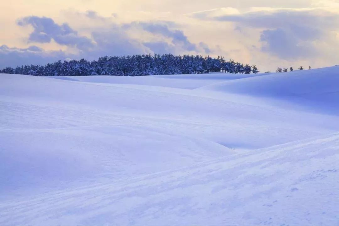 日本冬天最浪漫的絕色雪鄉，一下雪畫風就美翻了！ 旅遊 第10張