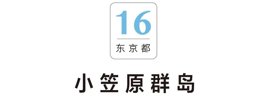 【行樂之選】日本最美20島，你必須擁有 旅遊 第76張