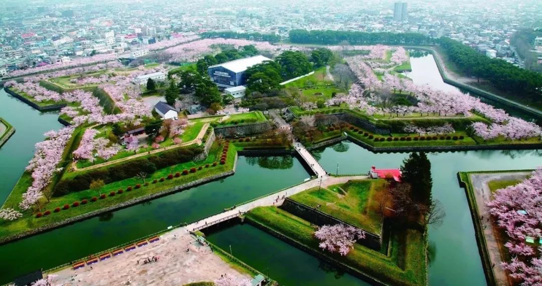 2019第一波櫻花前線來啦！今年最美的櫻花去哪看？ 旅遊 第13張