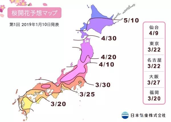 2019第一波櫻花前線來啦！今年最美的櫻花去哪看？ 旅遊 第4張