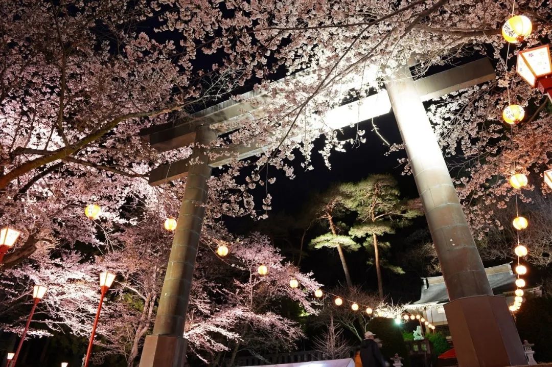 2019第一波櫻花前線來啦！今年最美的櫻花去哪看？ 旅遊 第30張