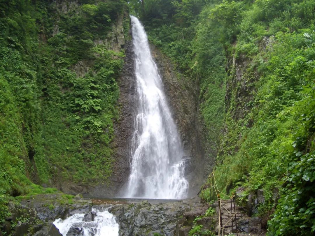 日本的小清新聖地，才不是北海道呢！ 旅遊 第6張