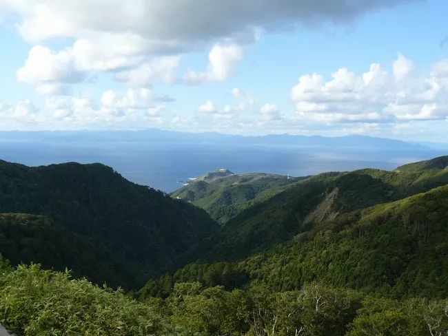 日本的小清新聖地，才不是北海道呢！ 旅遊 第23張