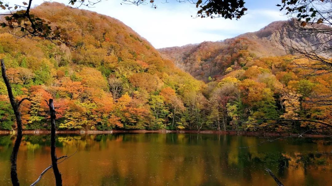 日本的小清新聖地，才不是北海道呢！ 旅遊 第7張