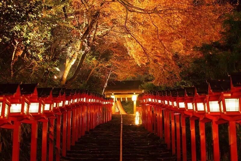 满是红叶的秋季京都 最适合散步了 行乐 微信公众号文章阅读 Wemp