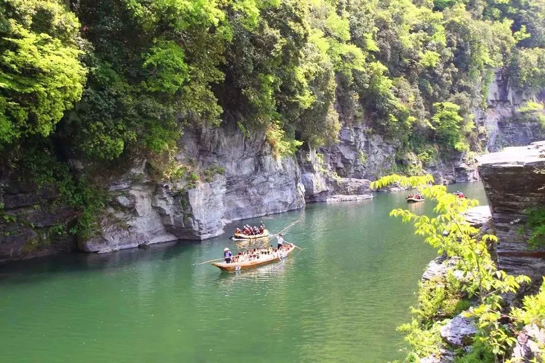 【行樂47】你所以為的「土味」 埼玉，實際上是東京後花園一般的存在！ 旅遊 第24張