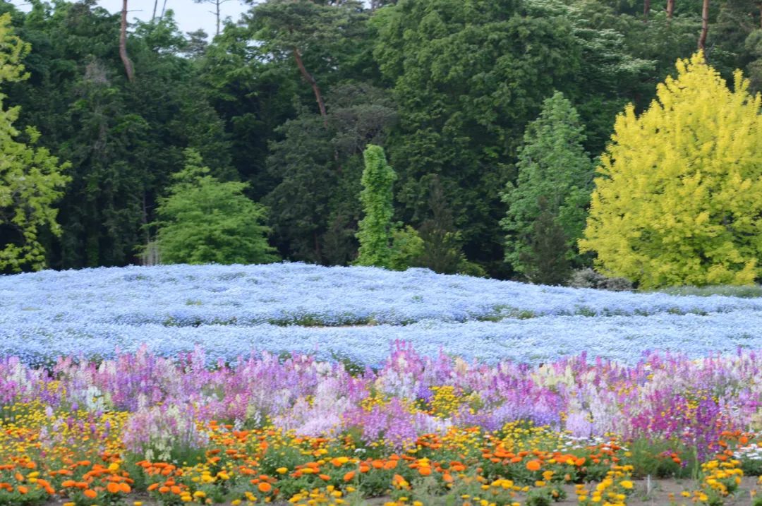 噓，在這5個漂亮的秘密花園，獲取幸福平和的時光 旅遊 第33張