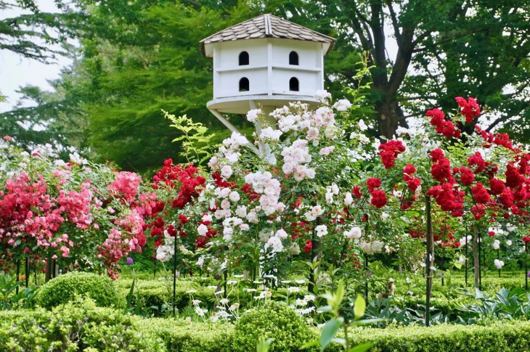 噓，在這5個漂亮的秘密花園，獲取幸福平和的時光 旅遊 第49張