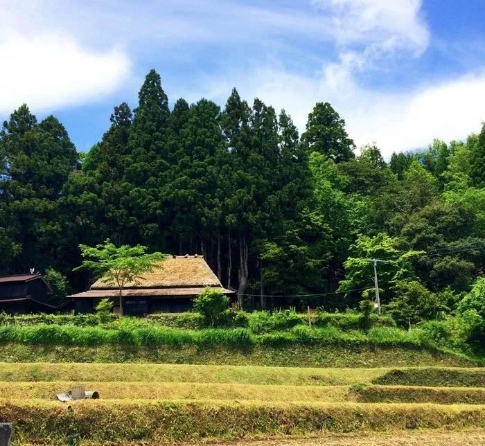 原本以為的日本土味鄉村，竟然這麼迷人？！ 旅行 第24張