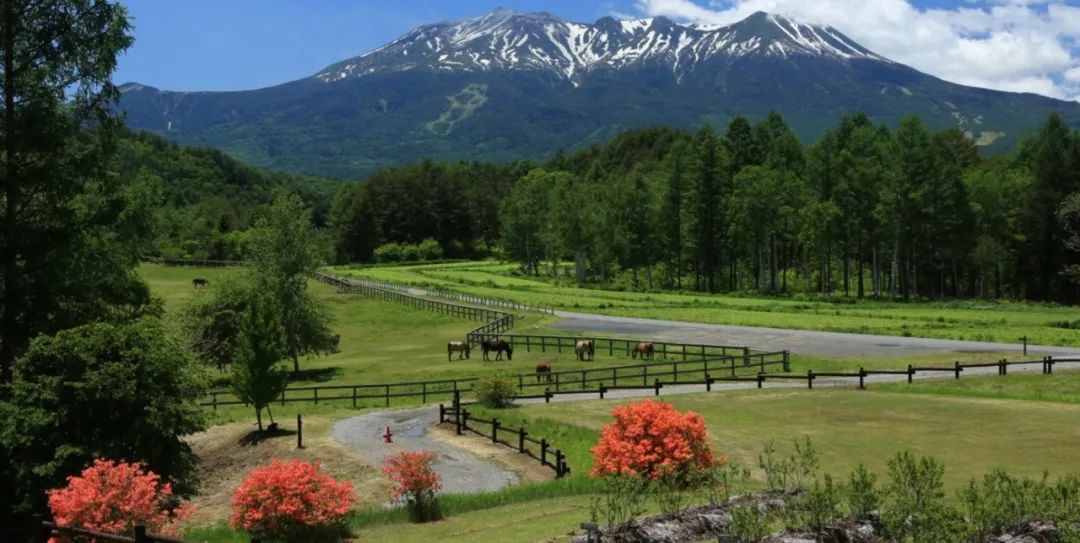 原本以為的日本土味鄉村，竟然這麼迷人？！ 旅行 第80張