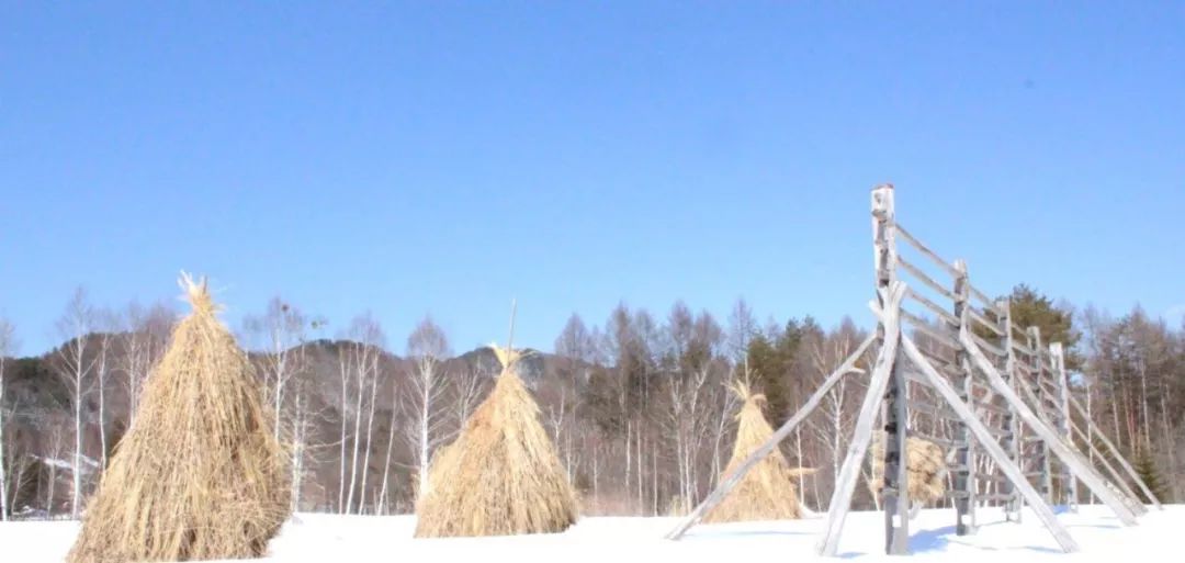 原本以為的日本土味鄉村，竟然這麼迷人？！ 旅行 第83張