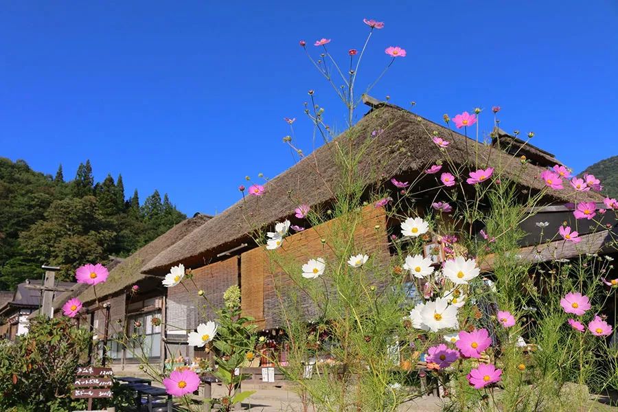 原本以為的日本土味鄉村，竟然這麼迷人？！ 旅行 第30張