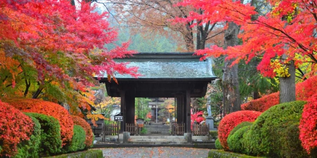 原本以為的日本土味鄉村，竟然這麼迷人？！ 旅行 第81張