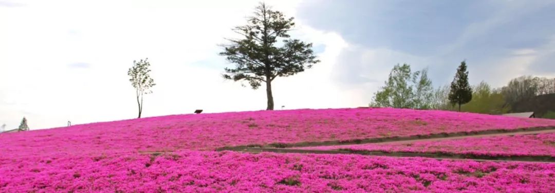 原本以為的日本土味鄉村，竟然這麼迷人？！ 旅行 第17張