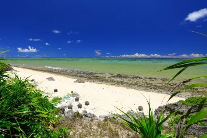 原本以為的日本土味鄉村，竟然這麼迷人？！ 旅行 第72張