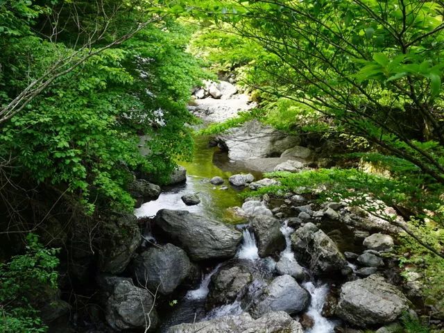 原本以為的日本土味鄉村，竟然這麼迷人？！ 旅行 第25張