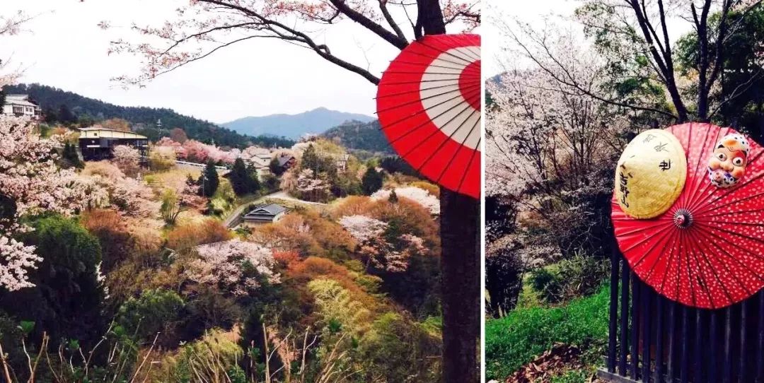 【行樂47】撇開小鹿和古寺，奈良還有好玩的地方嗎？ 旅遊 第16張