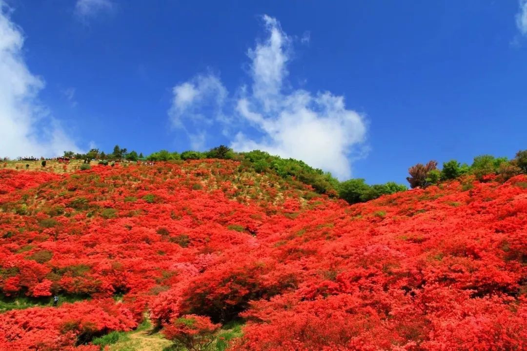 【行樂47】撇開小鹿和古寺，奈良還有好玩的地方嗎？ 旅遊 第30張