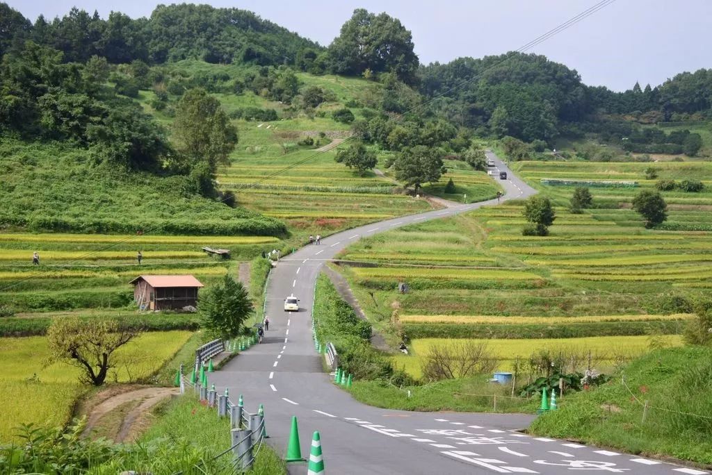 【行樂47】撇開小鹿和古寺，奈良還有好玩的地方嗎？ 旅遊 第39張