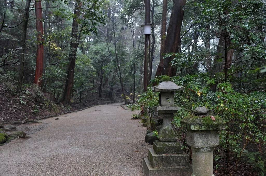 【行樂47】撇開小鹿和古寺，奈良還有好玩的地方嗎？ 旅遊 第35張