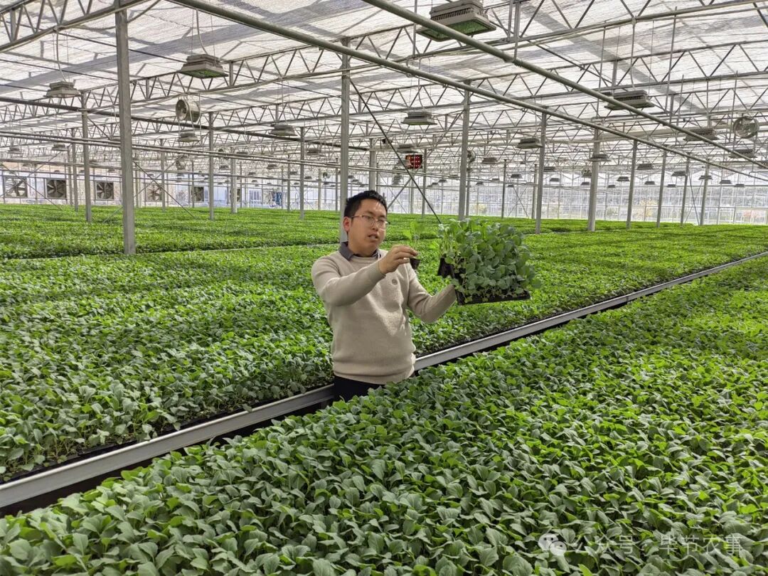 频道>毕节市农业农村局>动态>行业动态>查看育苗情况6868刘军林