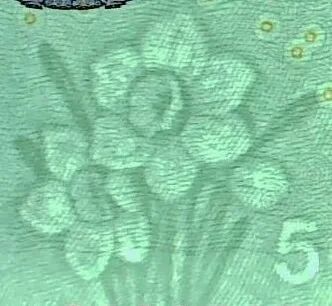 反假货币宣传月 | 防伪知识篇（2）(图10)