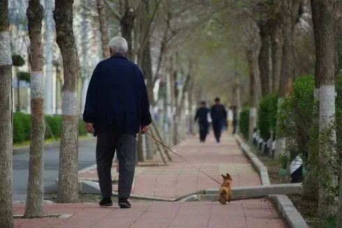 什么是频谱理疗仪科技引领未来 ▏您值得拥有一款“准”字号的医疗器械_https://www.jmylbn.com_新闻资讯_第11张