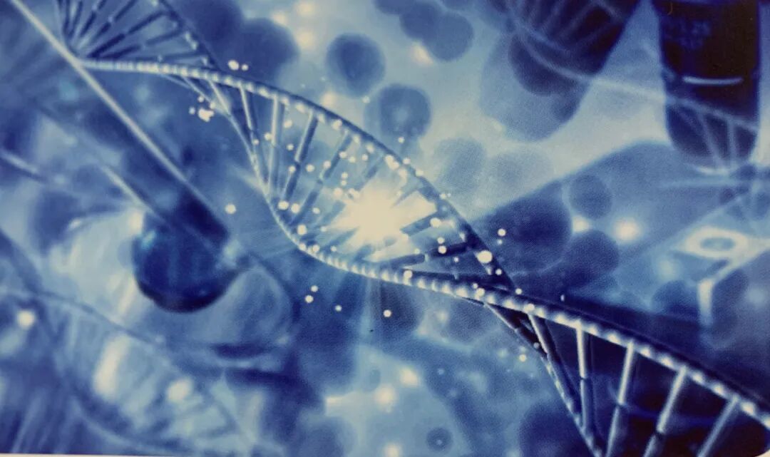 什么是频谱理疗仪科技引领未来 ▏您值得拥有一款“准”字号的医疗器械_https://www.jmylbn.com_新闻资讯_第43张