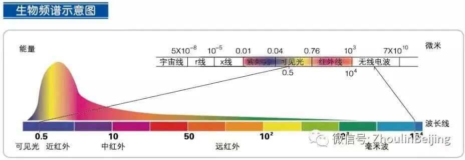 什么是频谱理疗仪科技引领未来 ▏您值得拥有一款“准”字号的医疗器械_https://www.jmylbn.com_新闻资讯_第85张