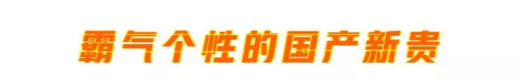 這6台車比SUV還霸氣、實用，男女老少都喜歡！ 汽車 第13張