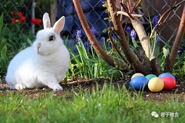 过火山节_招商银行过看节放几天假_美国过复活节吗