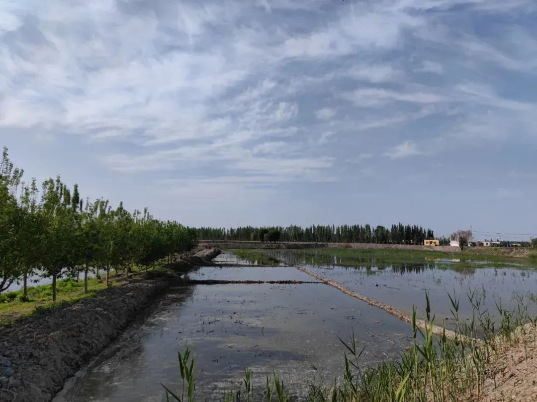 乡村振兴一村一幅画夏热勒津村湿地公园建设火热进行中