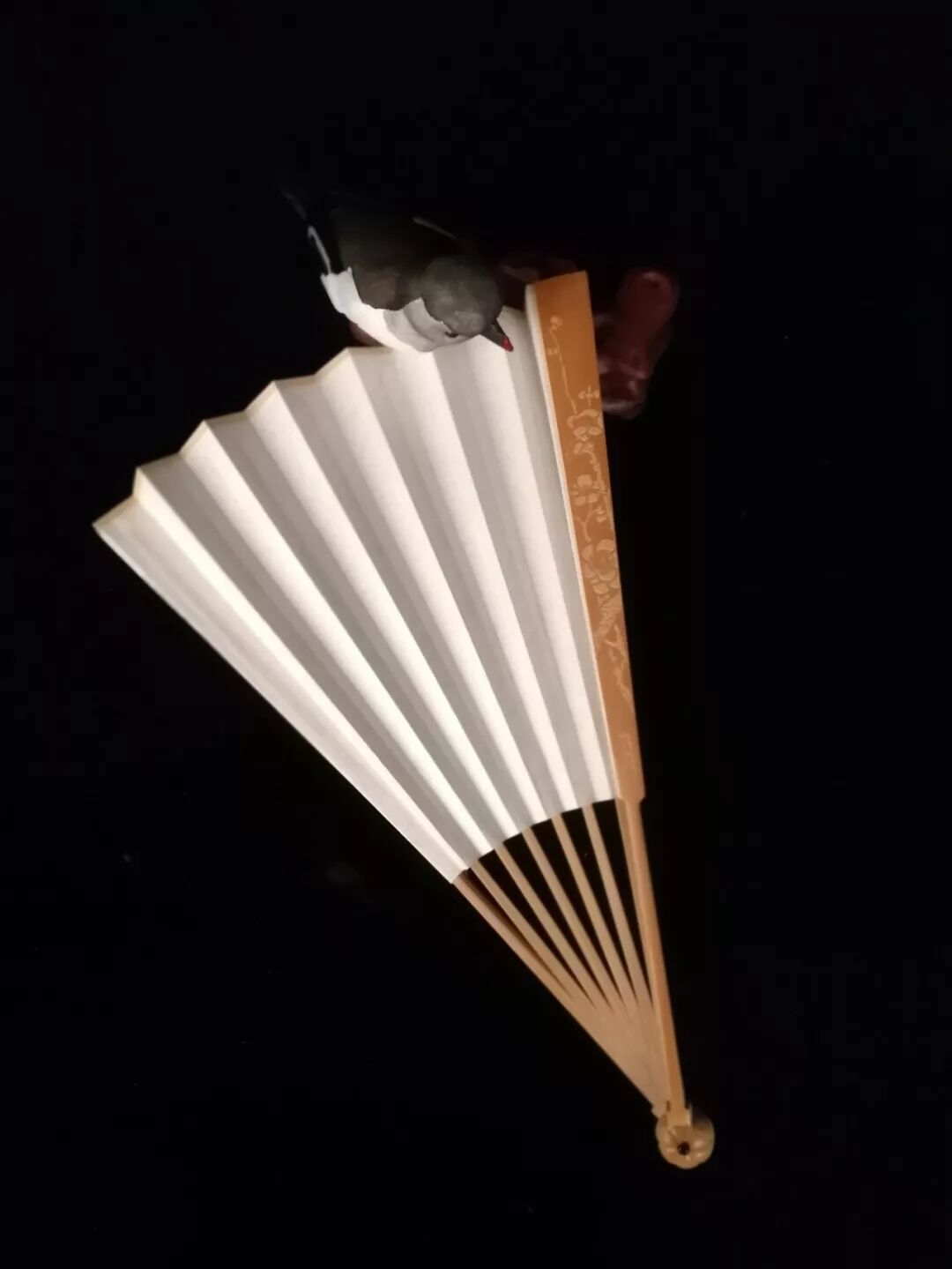 苏扇的四季之美