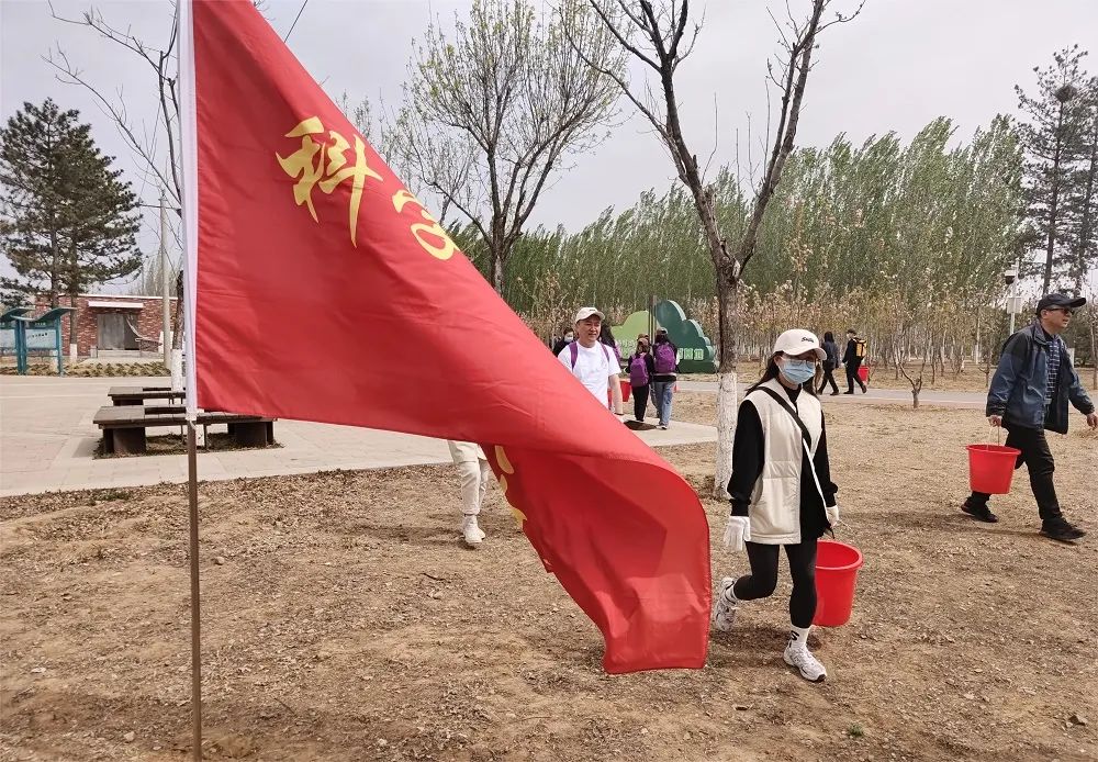 植树问题_植树_植树活动