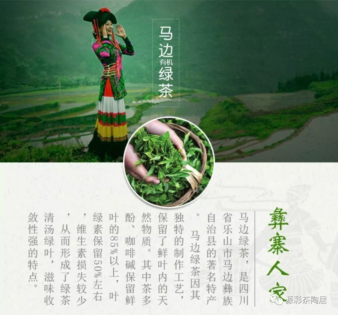 【致茶以爱】马边有机绿茶买二赠一|广西优质茶叶交流组