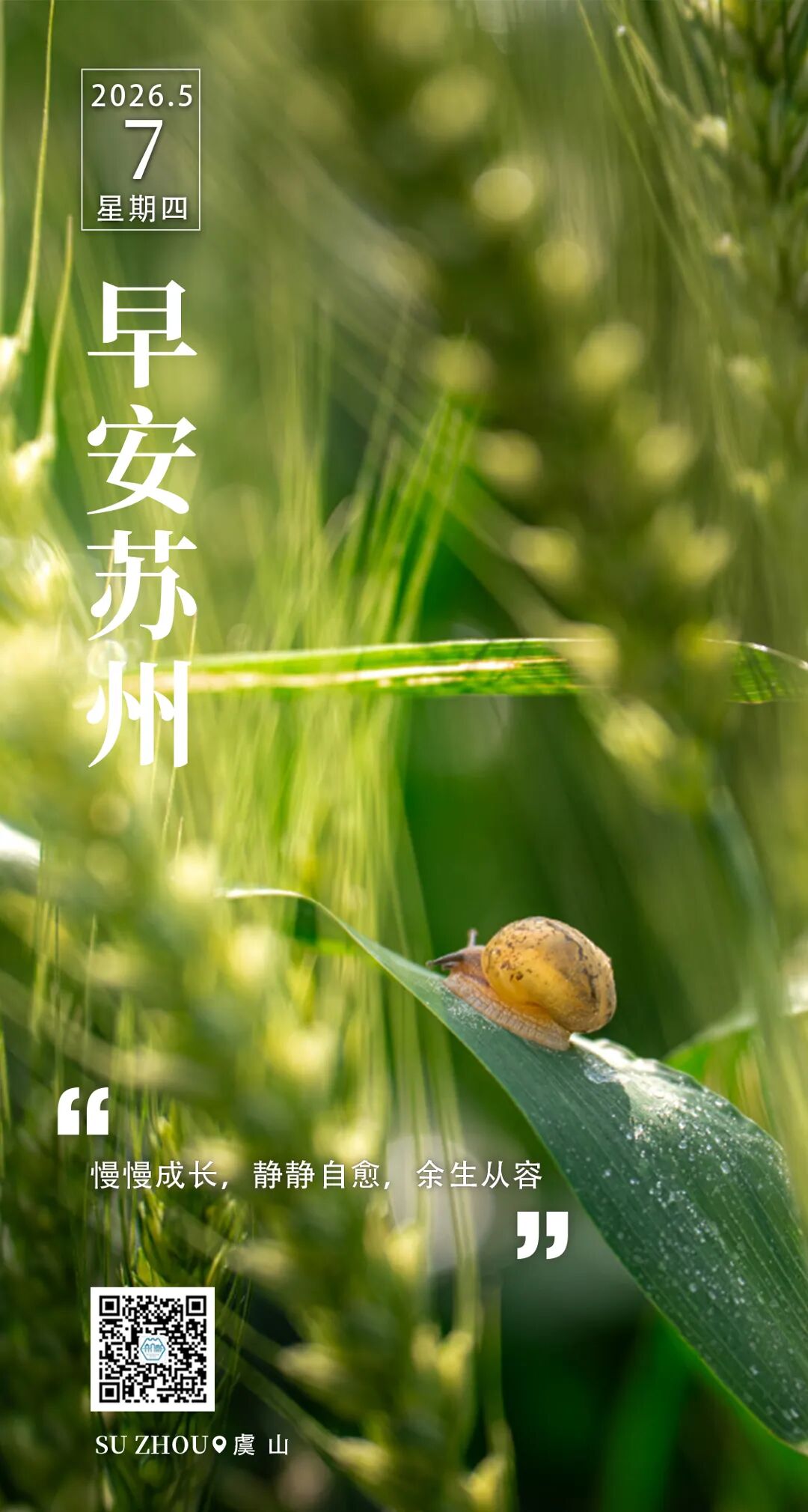 微信图片_20260506185830_119_5.jpg