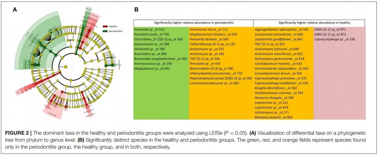 RayBiotech抗体芯片在牙周炎发生机制研究中的应用(图2)