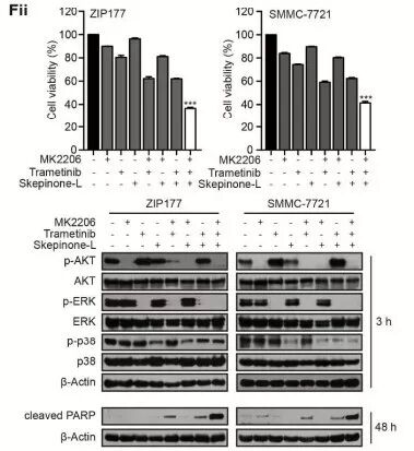 Raybiotech抗体芯片在肝细胞癌相关激酶鉴定及治疗研究中的应用(图5)